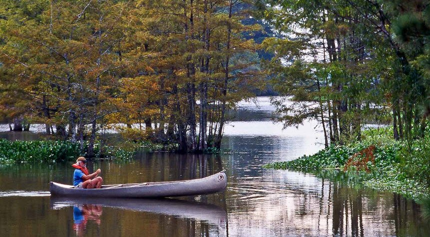 Martin Dies, Jr. State Park, Texas, USA